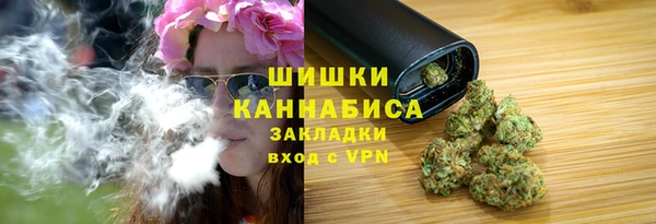 твердый Алзамай