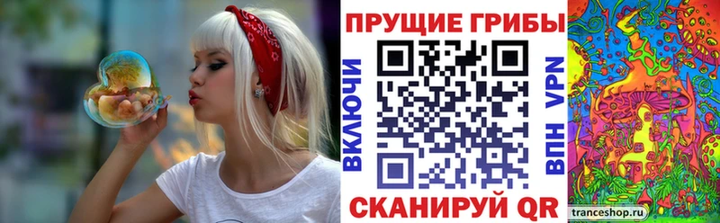даркнет состав где продают Кедровый Галлюциногенные грибы MAGIC MUSHROOMS